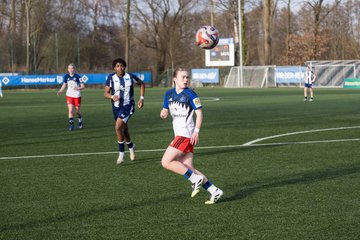 Bild 446 - wBJ Hamburger SV - Hertha BSC : Ergebnis: 2:1